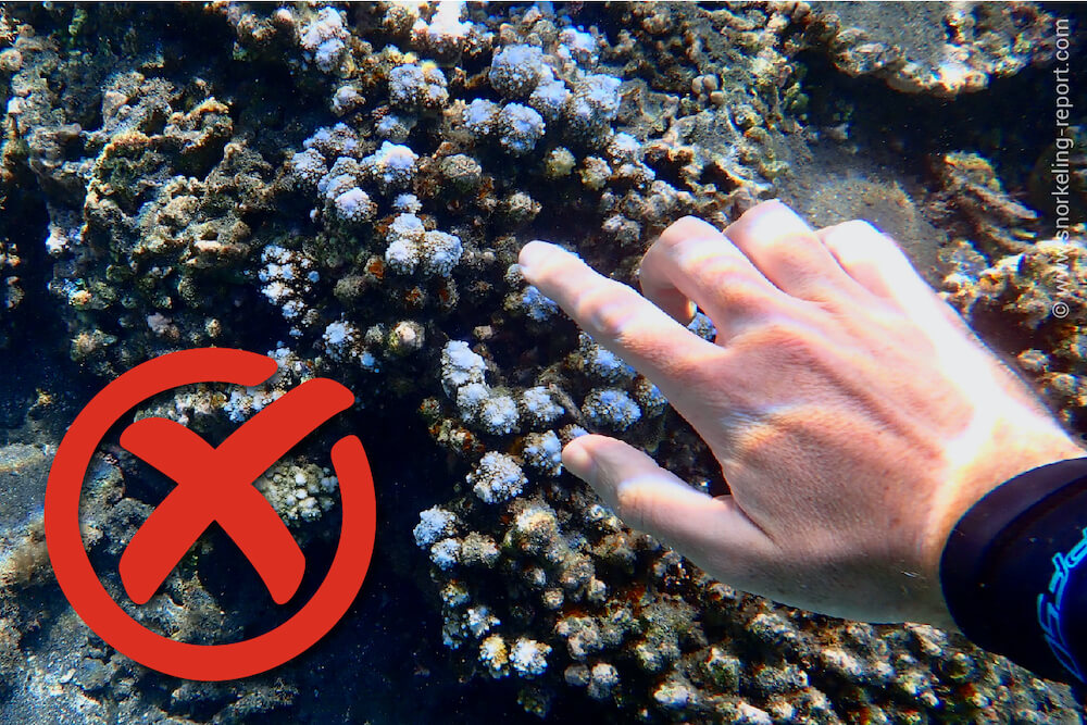 Do not touch coral