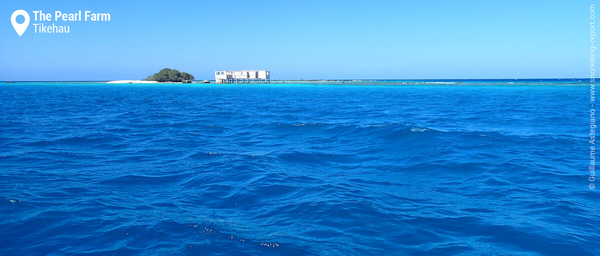 Tikehau's Old Pearl Farm