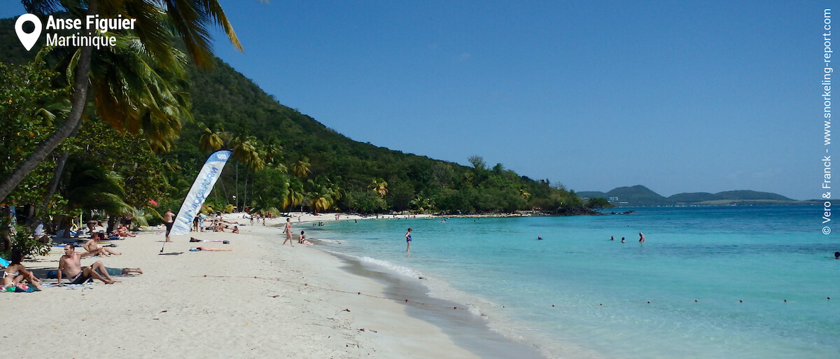 Anse Figuier Beach, Martinique