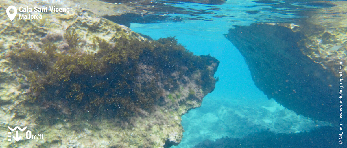 Rocky beds at Cala Sant Vicenç