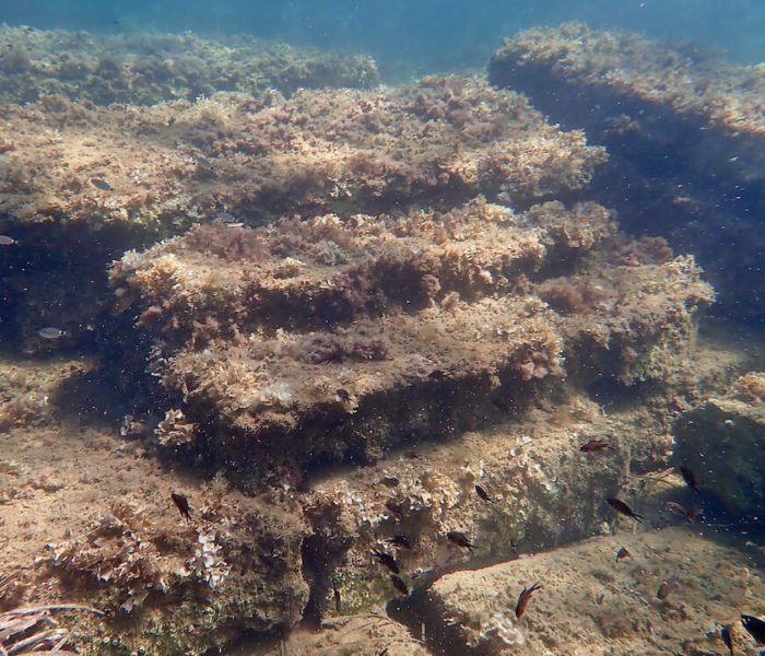 Archaeological site of Olbia