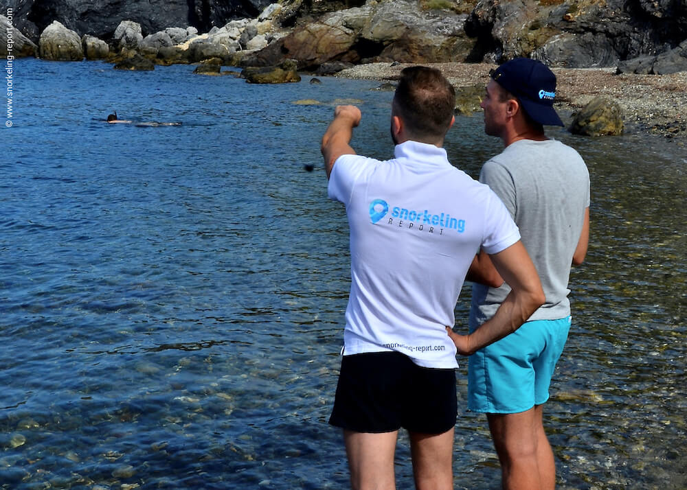 Snorkelers checking area before getting into the water