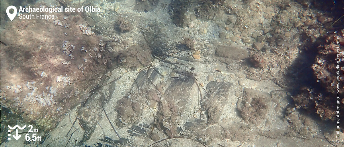 Wreck of La Tartane