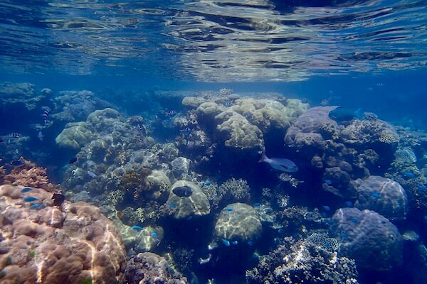 Great barrier reef Australia