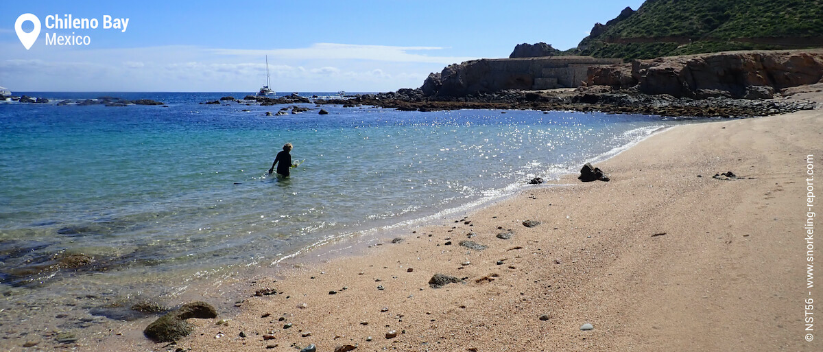 Chileno Bay snorkeling from the beach