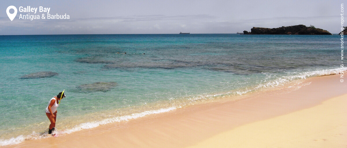 Galley Bay snorkeling area