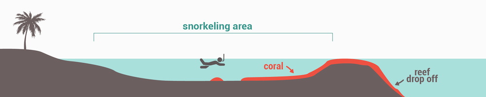 Closed fringing reef, lagoon