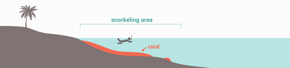 Narrow fringing reef