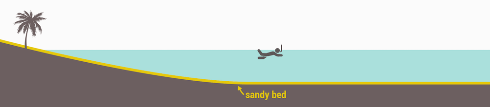 Sandy beds