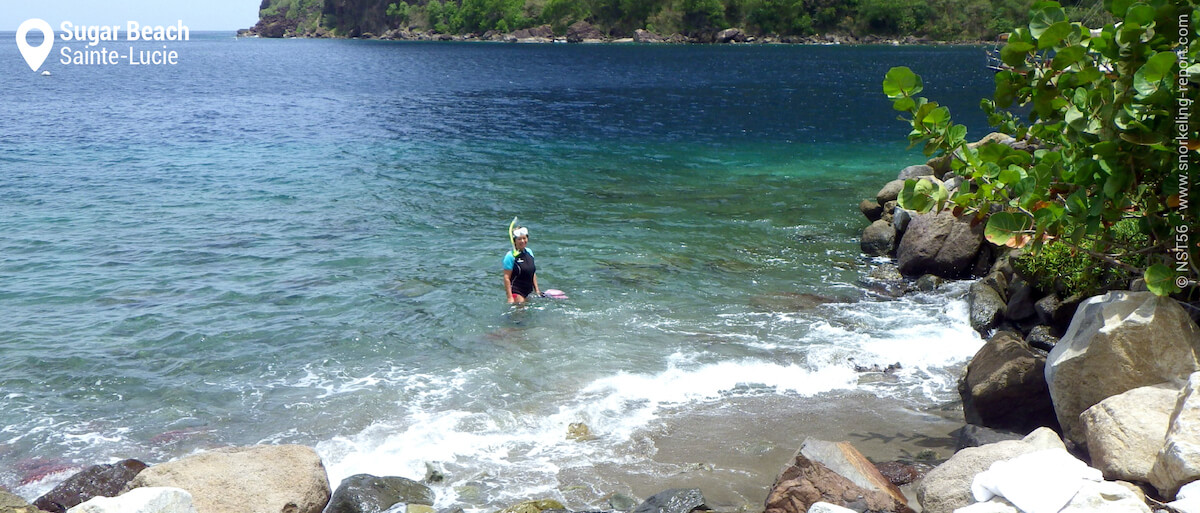 Vue sur la zone de snorkeling d'Anse Piton