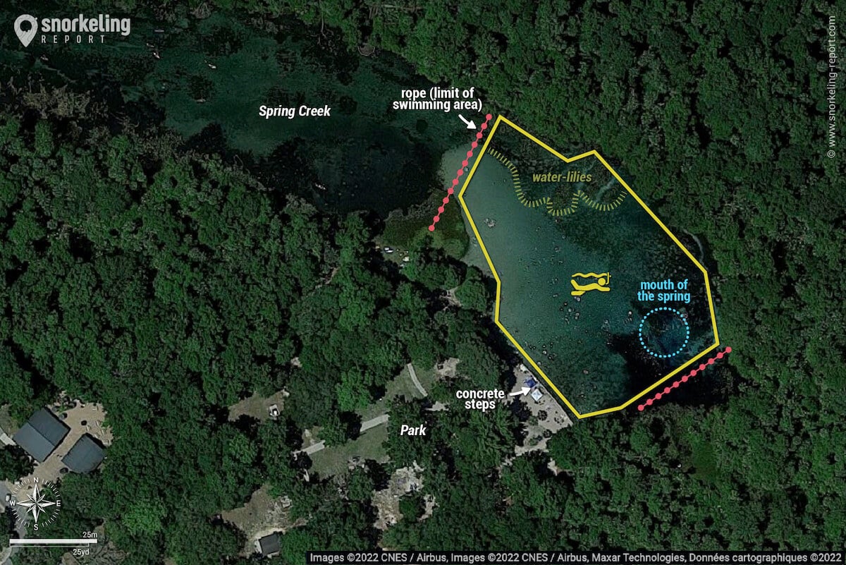 Alexander Springs snorkeling map