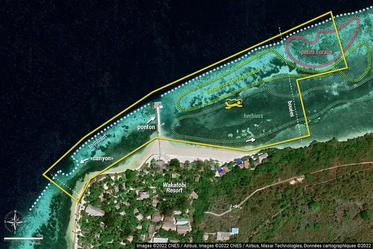 Carte snorkeling sur le house reef du Wakatobi Resort