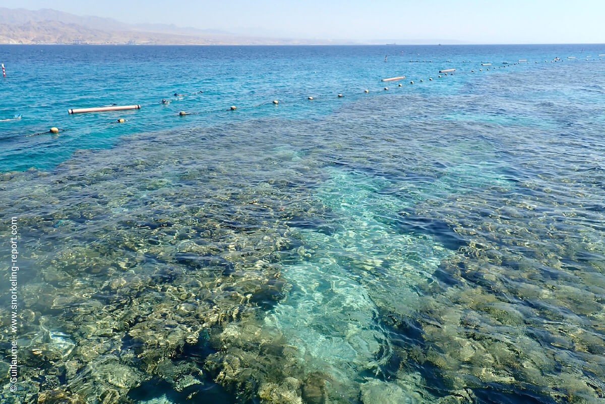 Coral Beach coral reef