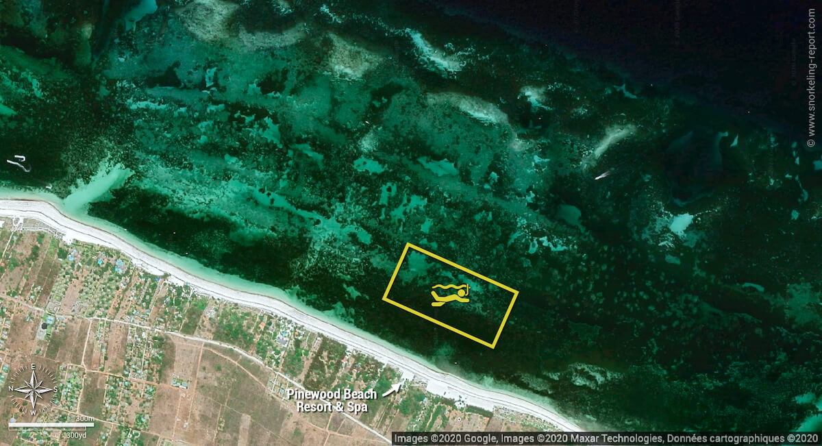 Pinewood Beach snorkeling map, Diani