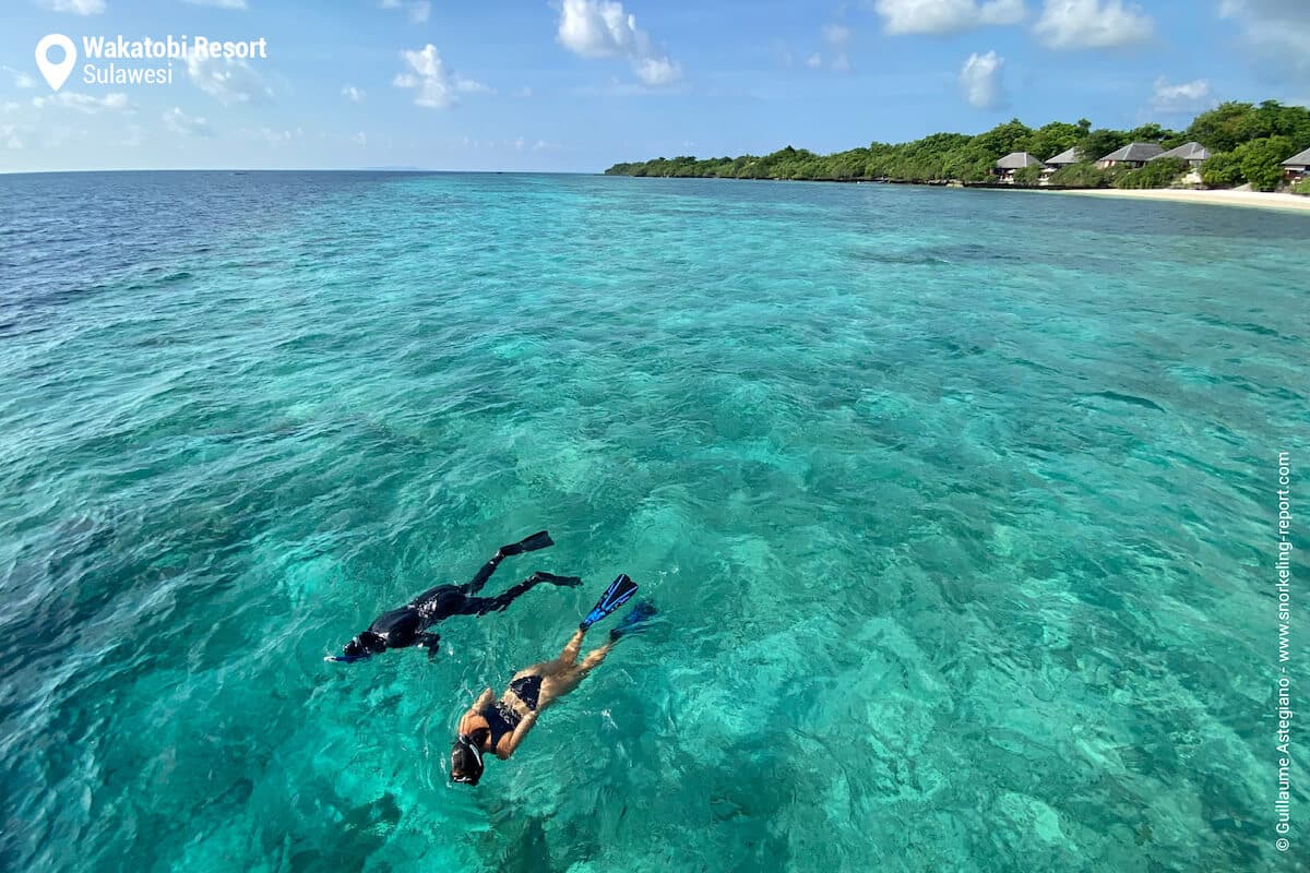 Snorkelers at Wakatobi Resort's house reef