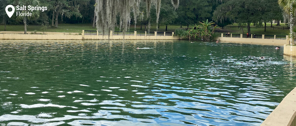 Source de Salt Springs