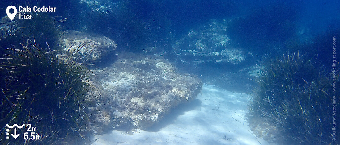 Underwaterscape at Cala Codolar