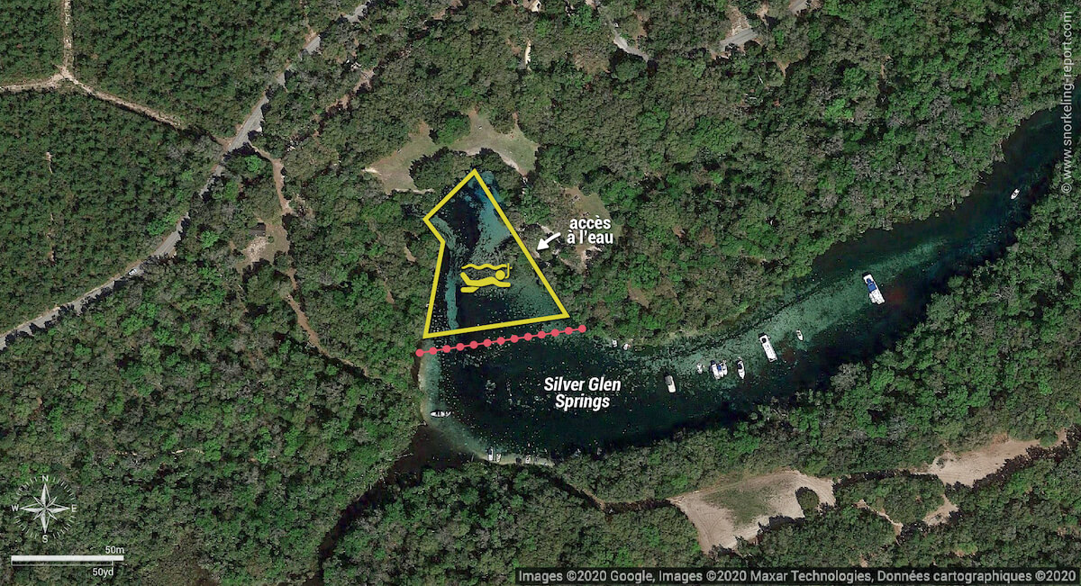 Carte snorkeling aux sources de Silver Glen Springs, Floride