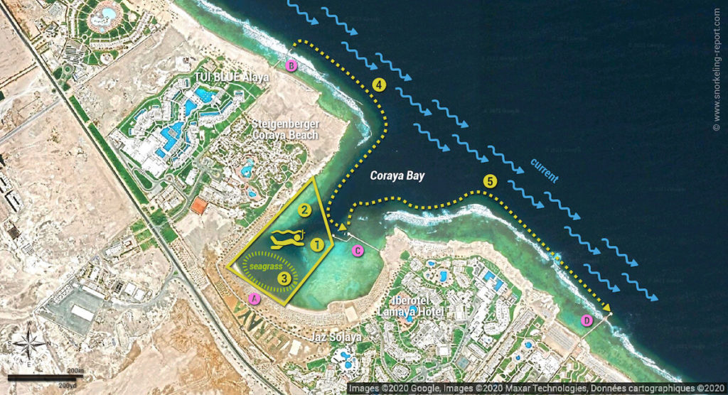 Snorkeling in Coraya Bay, Marsa Alam | Snorkeling in Egypt