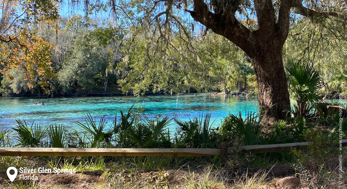 Silver Glen Springs, Florida