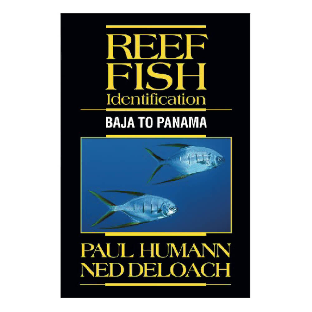 Reef Fish Identification- Baja to Panama