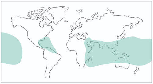 Coral reefs world map