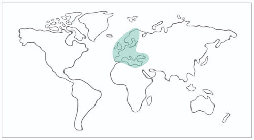 Europe and Mediterranean