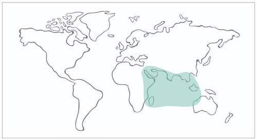 Indian Ocean and Red Sea