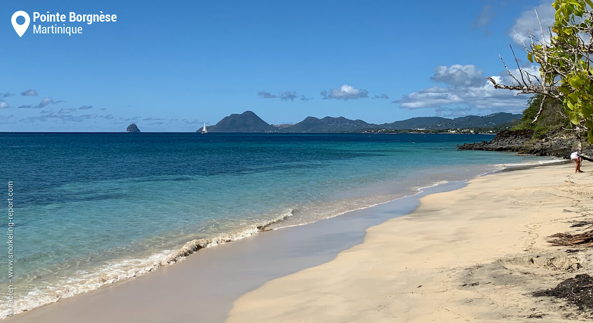 La plage de Pointe Borgnèse, Martinique