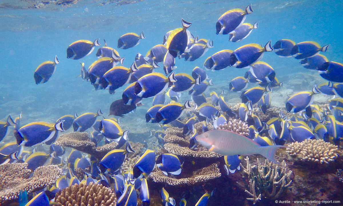 VELIDHU ISLAND RESORT