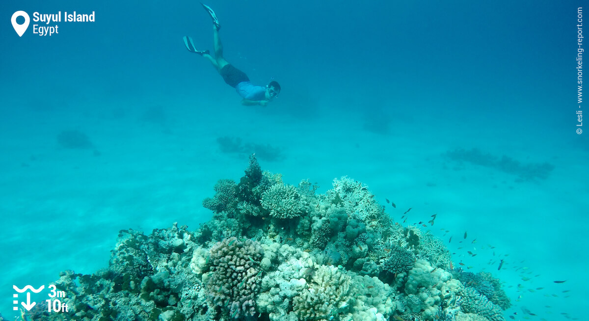 Snorkeler over Suyul Island's coral reef