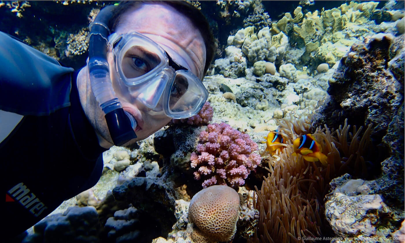 A diver takes a selfie with anemonefish in Egypt