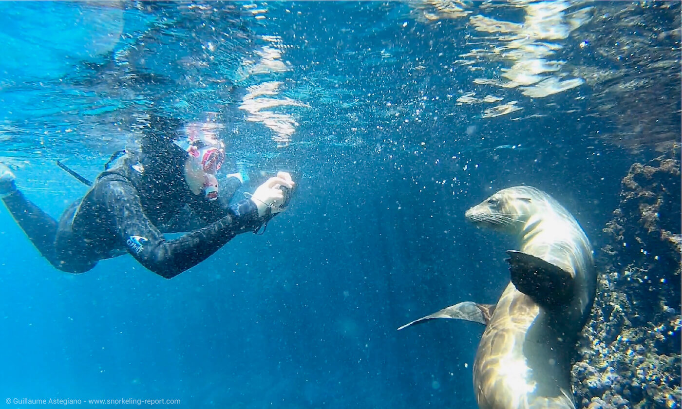 A women is taking a picture of a sea lion in the Galapagos Islands