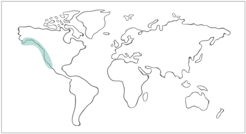 Geographical range California to Alaska