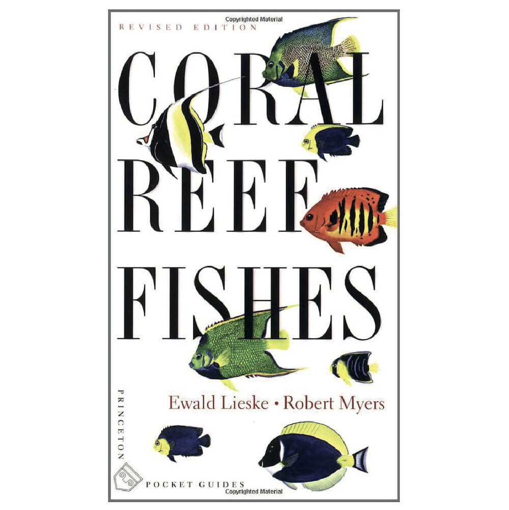 Coral reef fishes