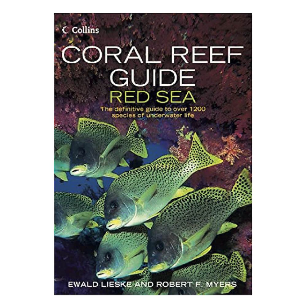 Coral Reef Guide Red Sea