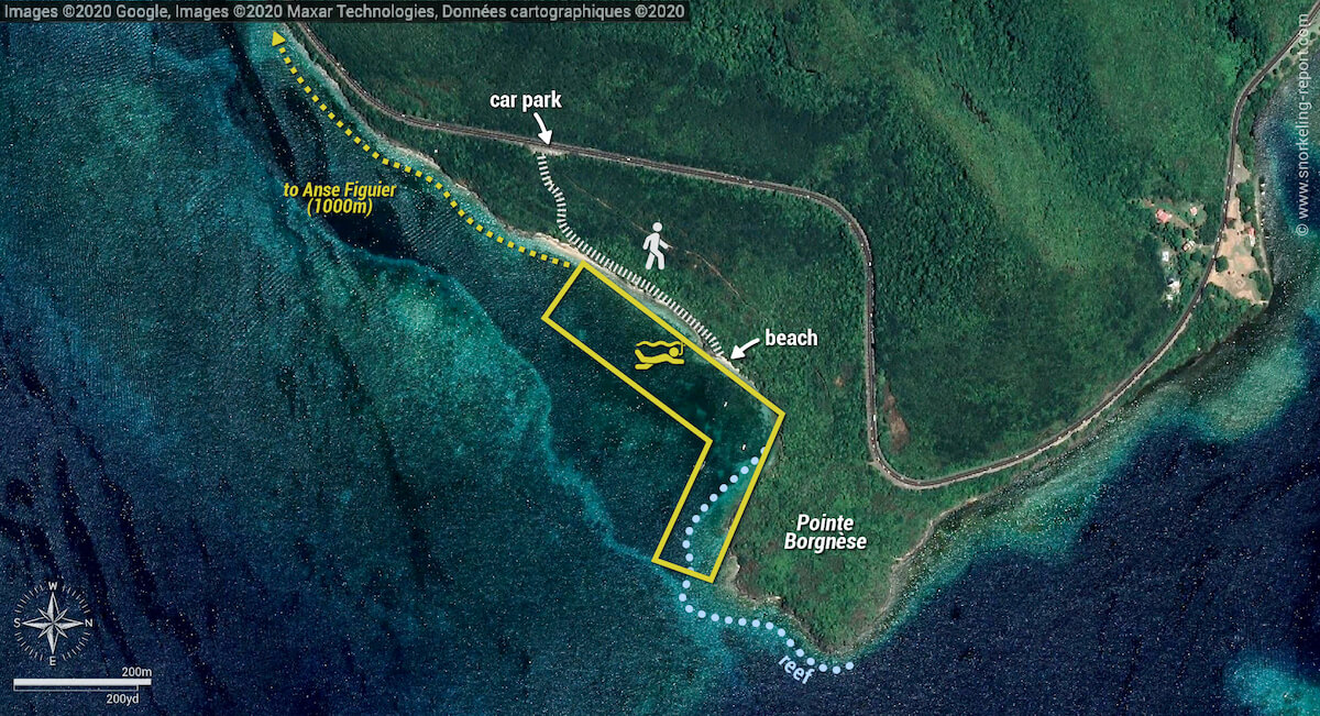 Pointe Borgnese snorkeling map, Martinique