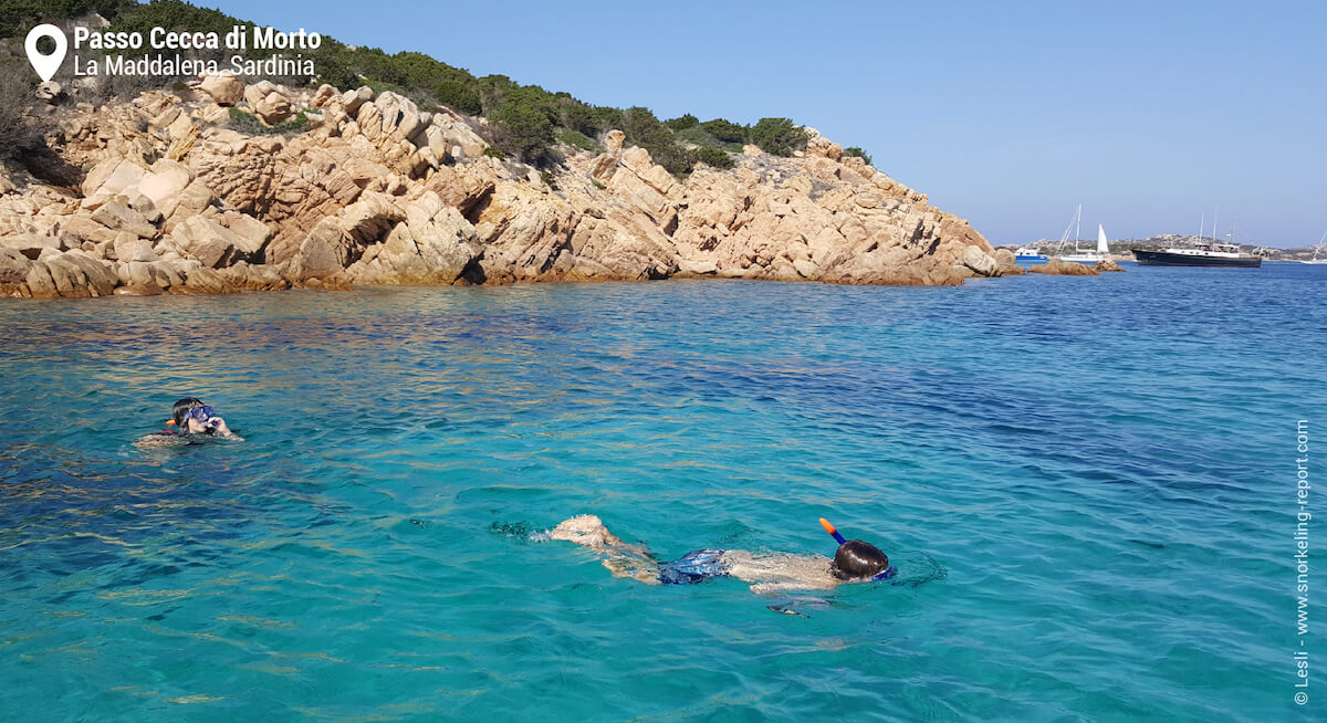 Snorkeling La Maddalena archipelago