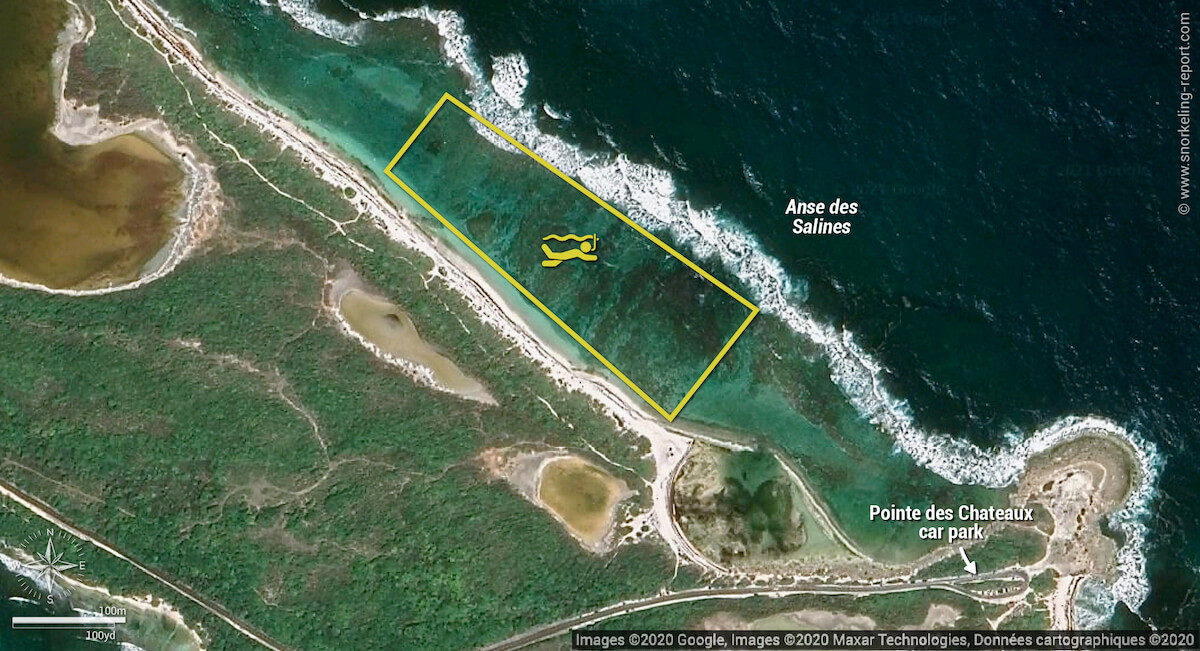 Anse des Salines snorkeling map, Guadeloupe