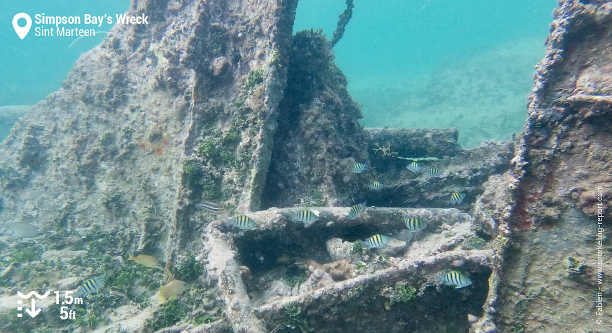 Simpson Bay's Wreck