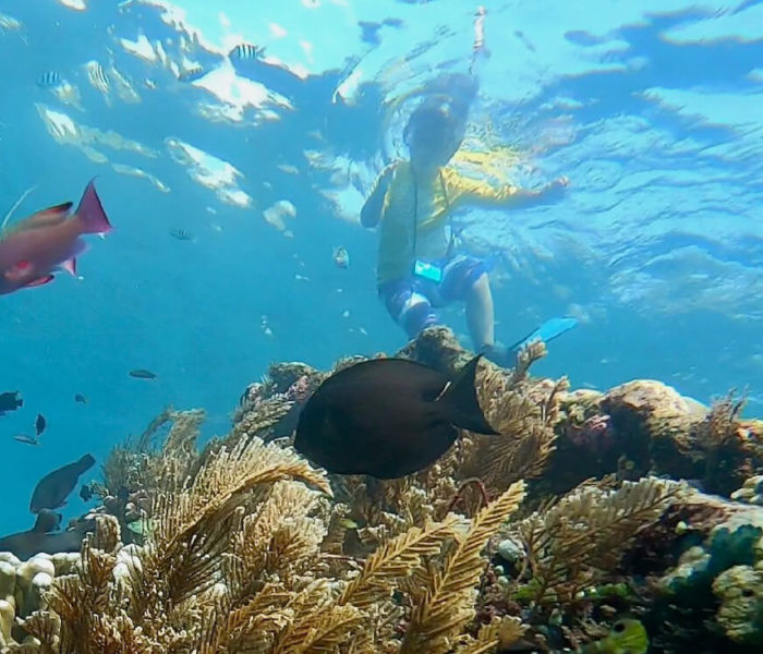 Japanese Wreck