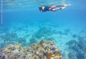 Îles des Caraïbes