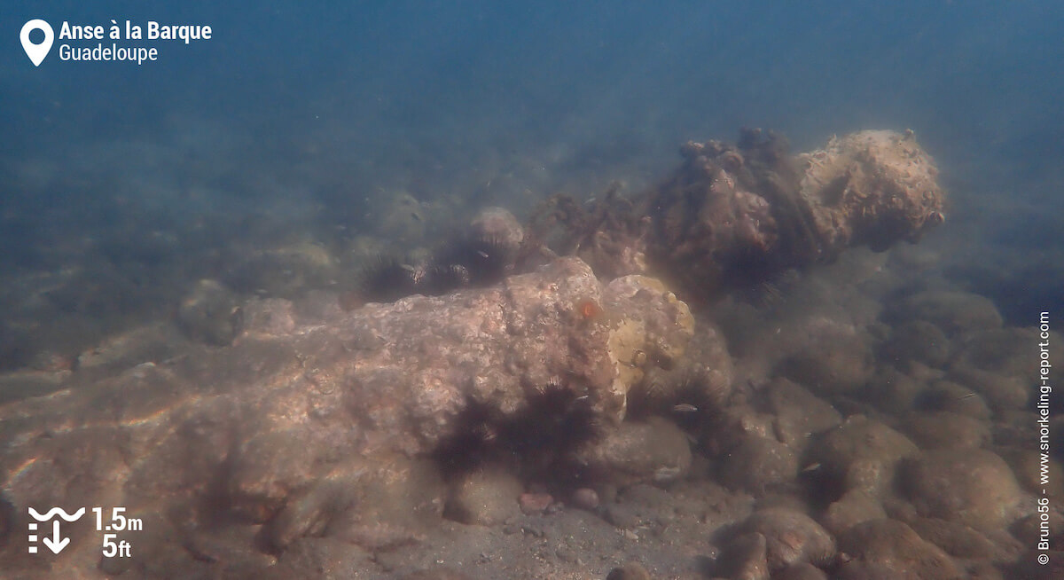 Old cannons at Anse a la Barque