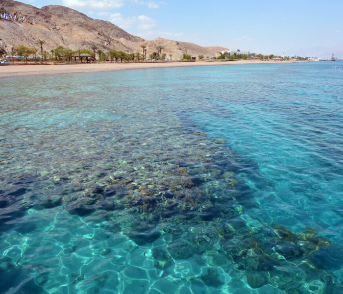 Coral Beach
