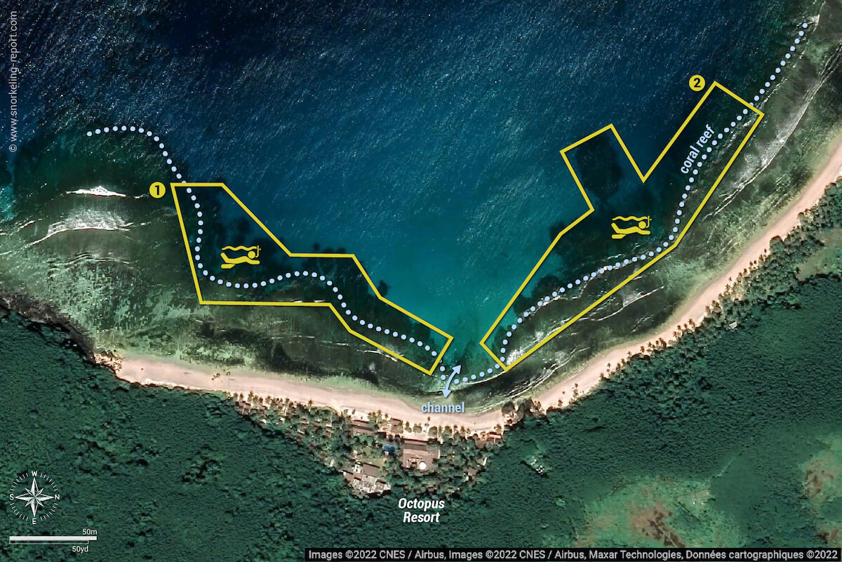 Octopus Resort snorkeling map, Waya Island