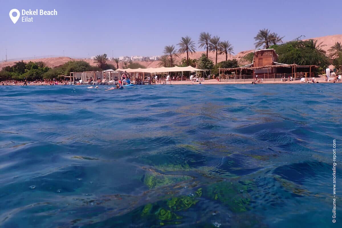 Dekel Beach, Eilat