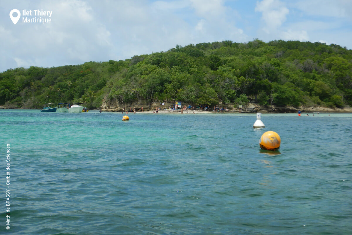 Ilet Thiery snorkel trail, St François