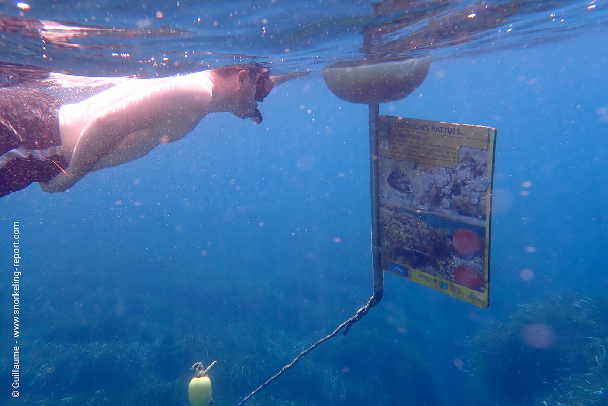 Snorkeler at Plage de Jovat snorkel trail