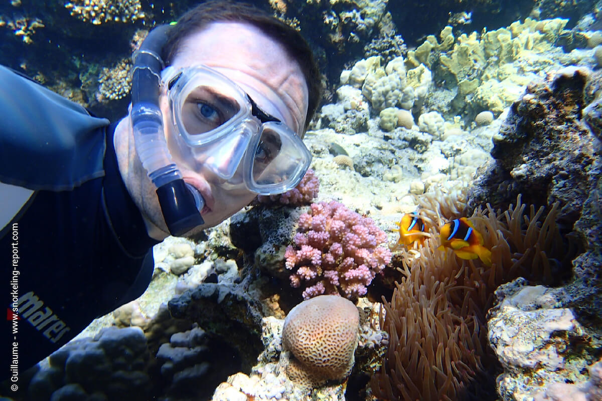 Snorkeling with anemonefish