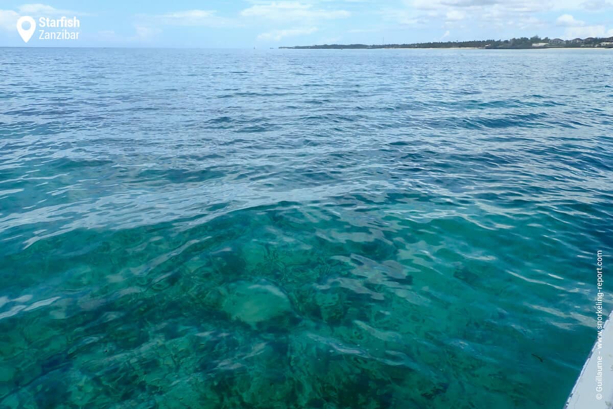 Starfish snorkeling spot from the boat